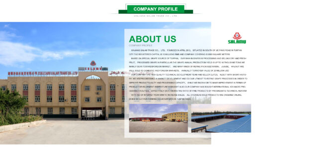 Xinjiang Salam Trade Co., Ltd.